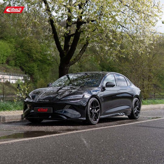 A sleek black sedan is parked by the roadside under a blooming tree, with greenery and hills visible in the background. The car features modern styling and black alloy wheels. The Eibach logo appears in the top left corner. A sleek black sedan is parked by the roadside under a blooming tree, with greenery and hills visible in the background. The car features modern styling and black alloy wheels. The Eibach logo appears in the top left corner.