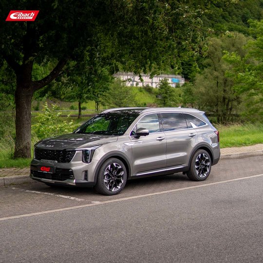 Ein silberner SUV mit schwarzer Verkleidung parkt am Straßenrand neben einer Rasenfläche und Bäumen. Der SUV hat moderne, markante Scheinwerfer und schwarze Felgen. Die Szene spielt im Freien mit grünem Hintergrund.