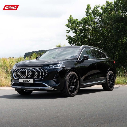 Ein eleganter schwarzer SUV mit markantem Kühlergrill und schwarzen Felgen parkt unter leicht bewölktem Himmel auf einer asphaltierten Straße in der Nähe von Gras und Bäumen. In der oberen linken Ecke ist das Eibach-Logo zu sehen. Ein eleganter schwarzer SUV mit markantem Kühlergrill und schwarzen Felgen parkt unter leicht bewölktem Himmel auf einer asphaltierten Straße in der Nähe von Gras und Bäumen. In der oberen linken Ecke ist das Eibach-Logo zu sehen.